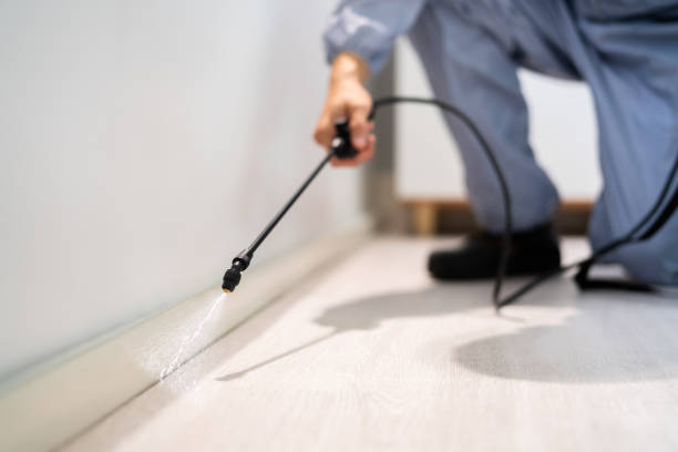 Bed Bug Pre-Treatment Preparation Assessment in Seven Fields