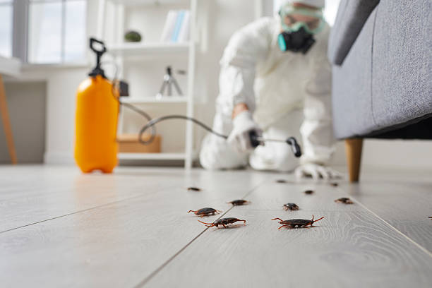 Post-Treatment Bed Bug Interceptor Monitoring in Seven Fields